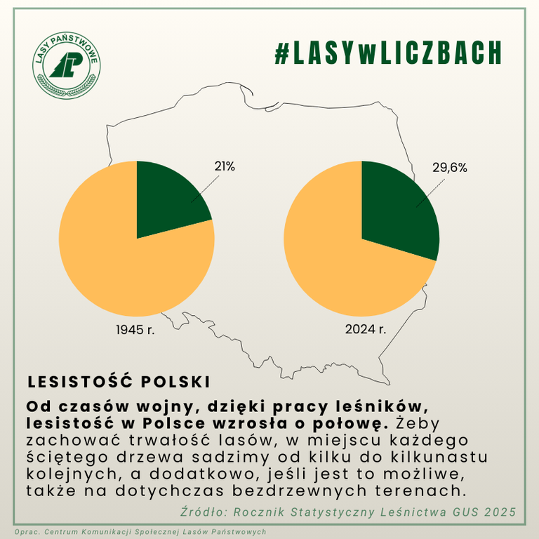 Grafika przedstawiająca lesistość Polski