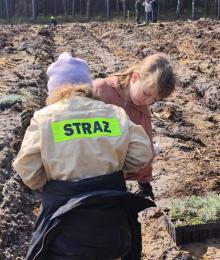 Posadź las z leśnikiem w Nadleśnictwie Olesno
