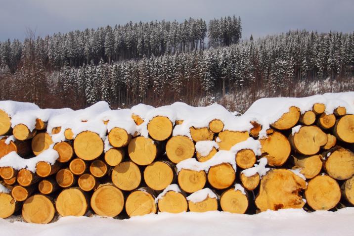 fot. Paweł Fabijański