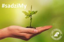 #sadzimy las