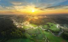 Dzień Ziemi 2026: nasza moc dla lasów i planety